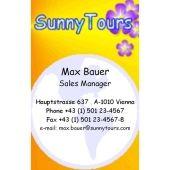 Форма портрета визитных карточек (100 частей)